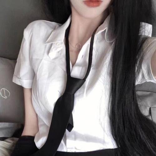 大宋有奇案