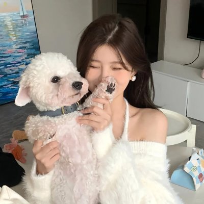 被迫成为反派赘婿 动态漫