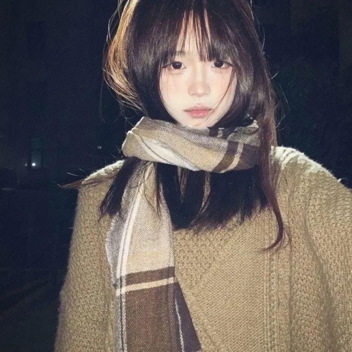 山河披锦绣